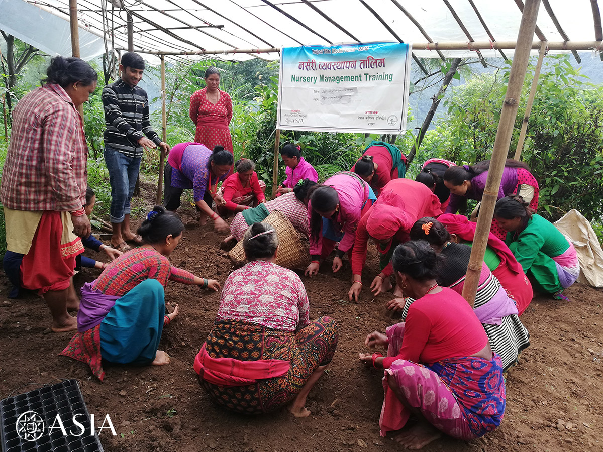 ASIAOnlus's tweet photo. #Nepal Grazie all'installazione di 6 #vivai dimostrativi, alla #formazione e alla distribuzione di kit per la gestione vogliamo migliorare le condizioni di vita delle comunità rurali della municipalità di Naukunda (Rasuwa) https://t.co/zAvH0gBTm3 https://t.co/Egyr5DLdLD