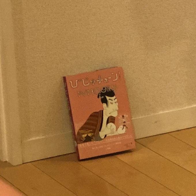 あした書店に到着するところもあるであろう「びじゅチューン!DVD BOOK5」。現実に存在していることが嬉しいので、部屋の隅に置いてみました〜。ある〜? 