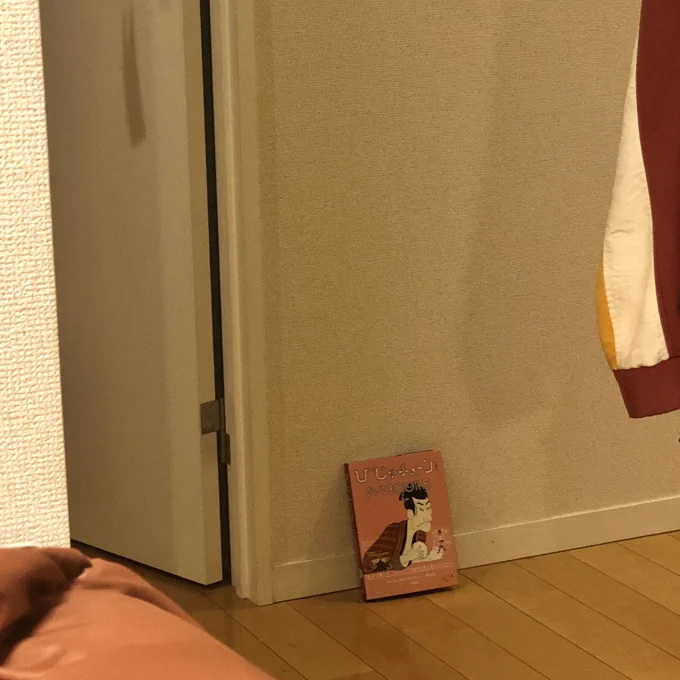 あした書店に到着するところもあるであろう「びじゅチューン!DVD BOOK5」。現実に存在していることが嬉しいので、部屋の隅に置いてみました〜。ある〜? 