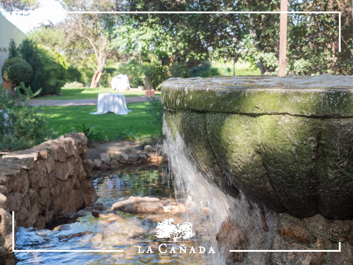 rtelacanada's tweet photo. 🍽 El espacio perfecto donde gozar con los tuyos. Haz tu reserva y disfruta de nuestra cocina más tradicional.

https://t.co/4qTvYIKTbq

#cocinatradicional #boadilladelmonte #restaurantesmadrid #comerenmadrid https://t.co/S4HFlWKDLz