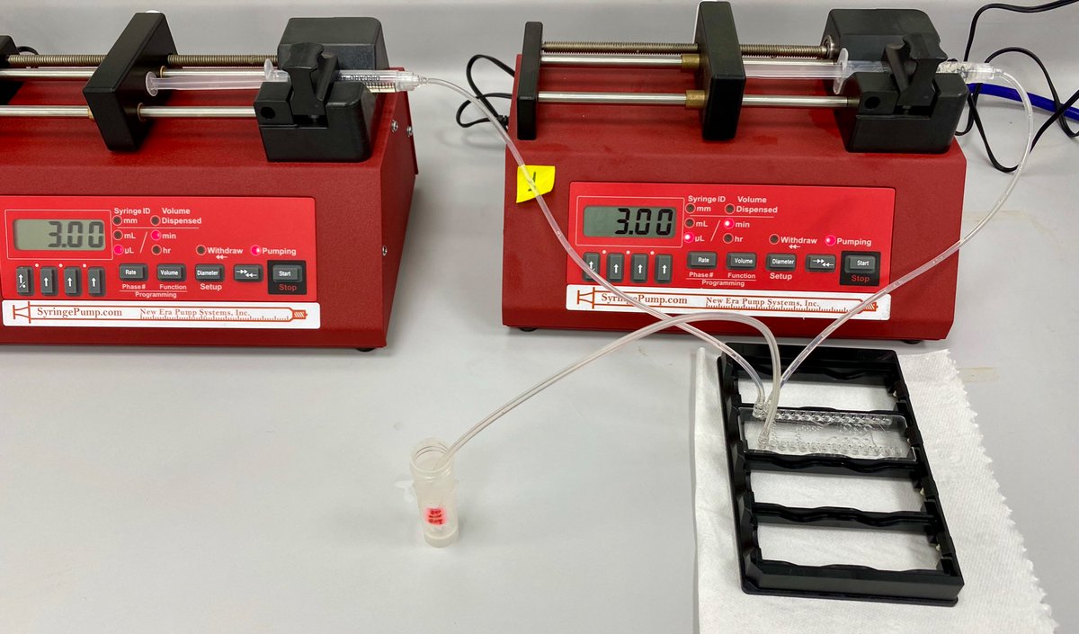 Iniciando el año laboral con muchos desafíos, que la fuerza nos acompañe 💪#Flowbiocatalysis