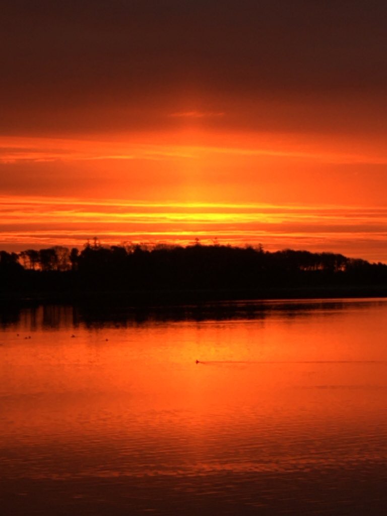 Orleans Police tweet media