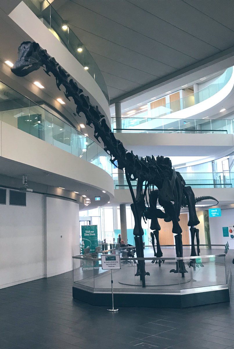 A great start to a busy Monday morning! Breakfast with Dippy!  Lots of exciting things happening in Rochdale. Have you met Dippy yet?  #dippyontour