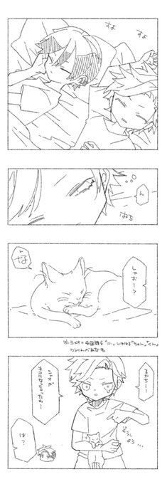 でこくんとりうくんと猫とちょっとだけるかち 
