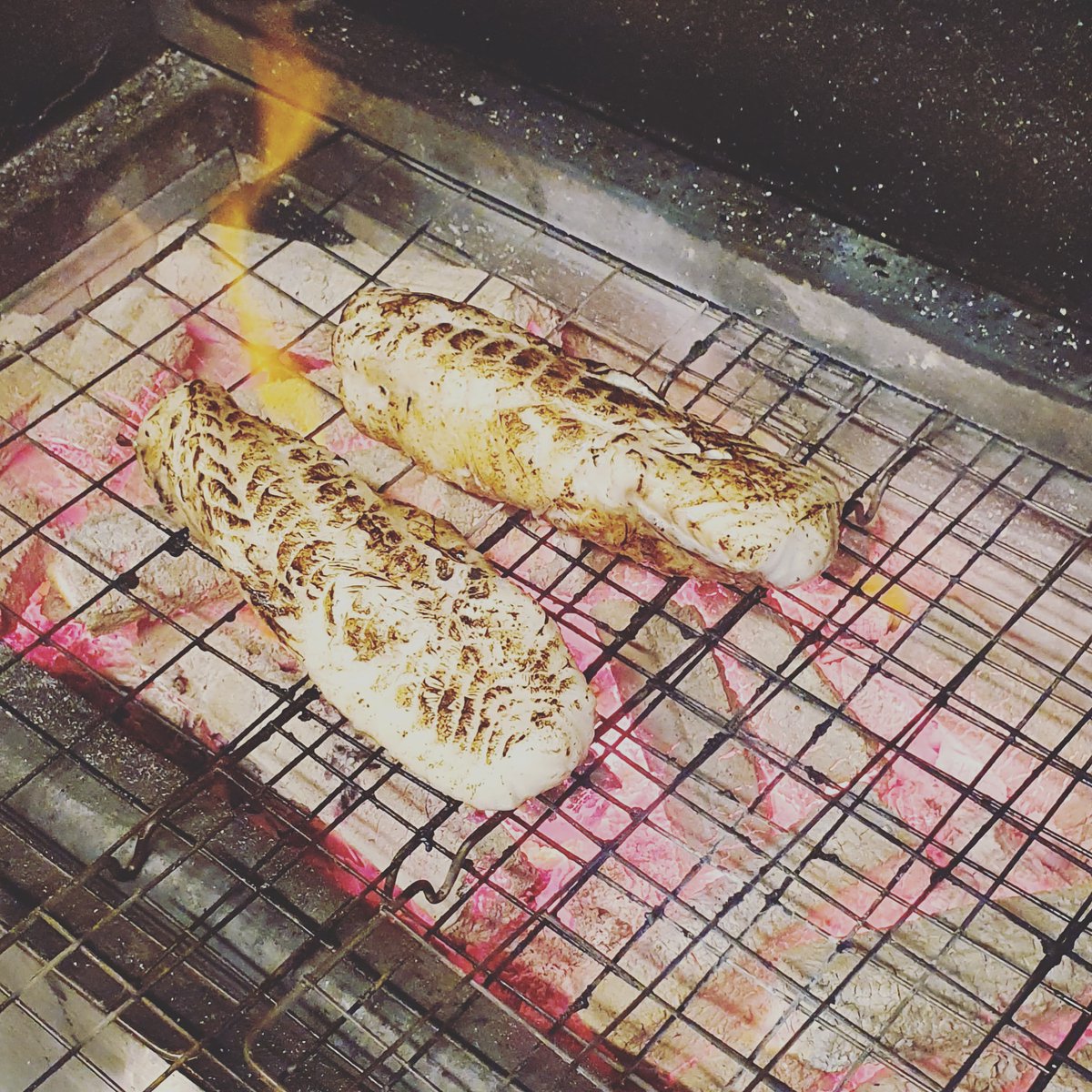 Cloak Dining tweet media