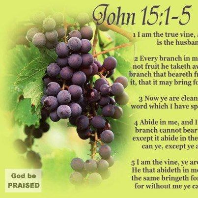 W2W_Network's tweet photo. John 15:1
The Vine and the Branches
15 “I am the true vine, and my Father is the gardener. https://t.co/4ujO1Waw2L
