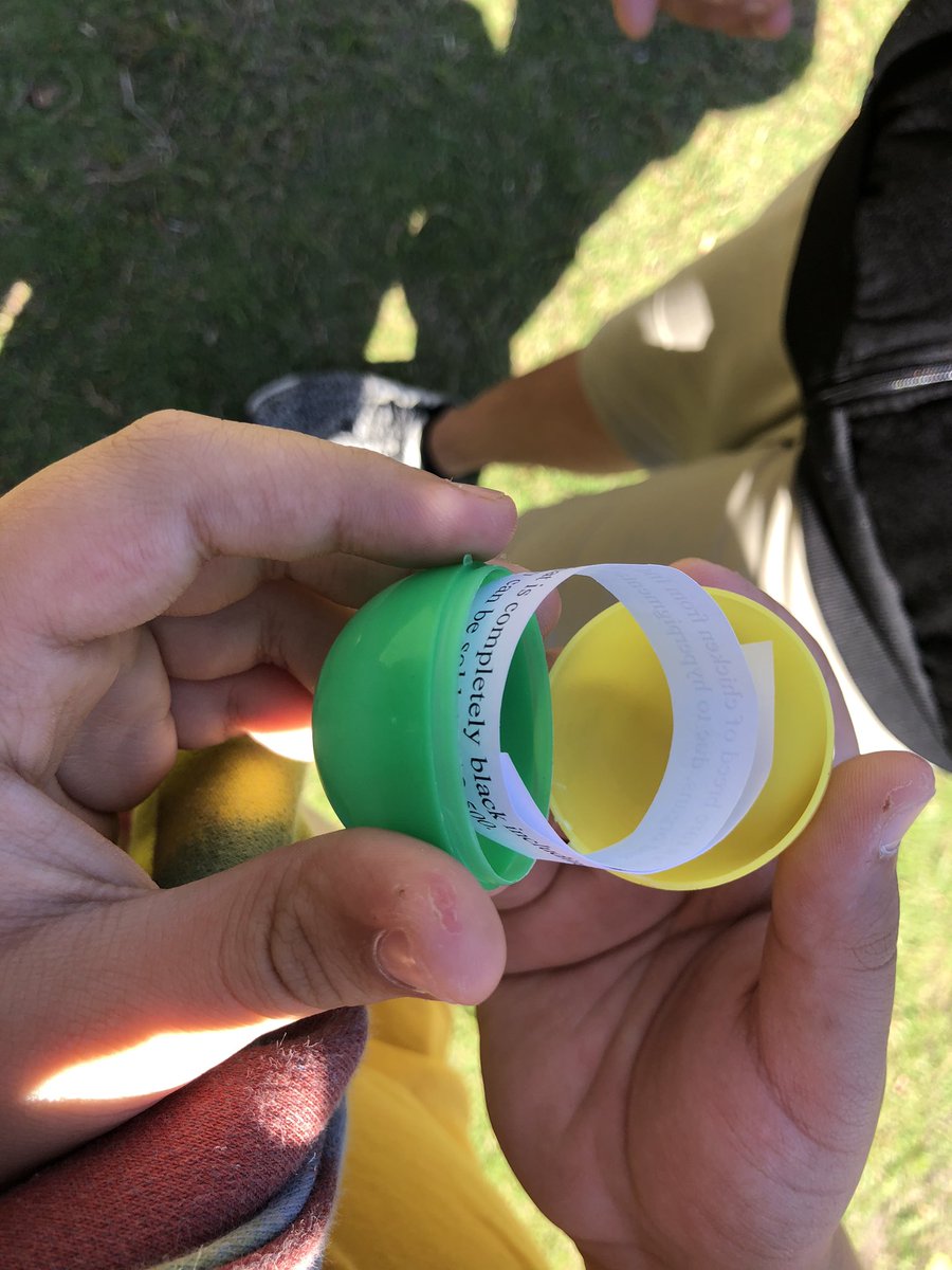 HorizonMiddle's tweet photo. Our agriculture students explored new content about the chickens they are hatching with an eductional egg hunt on Friday! @Osceolaschools #engagementStrategies #focusedOnLearning https://t.co/V5TCdGe7ri