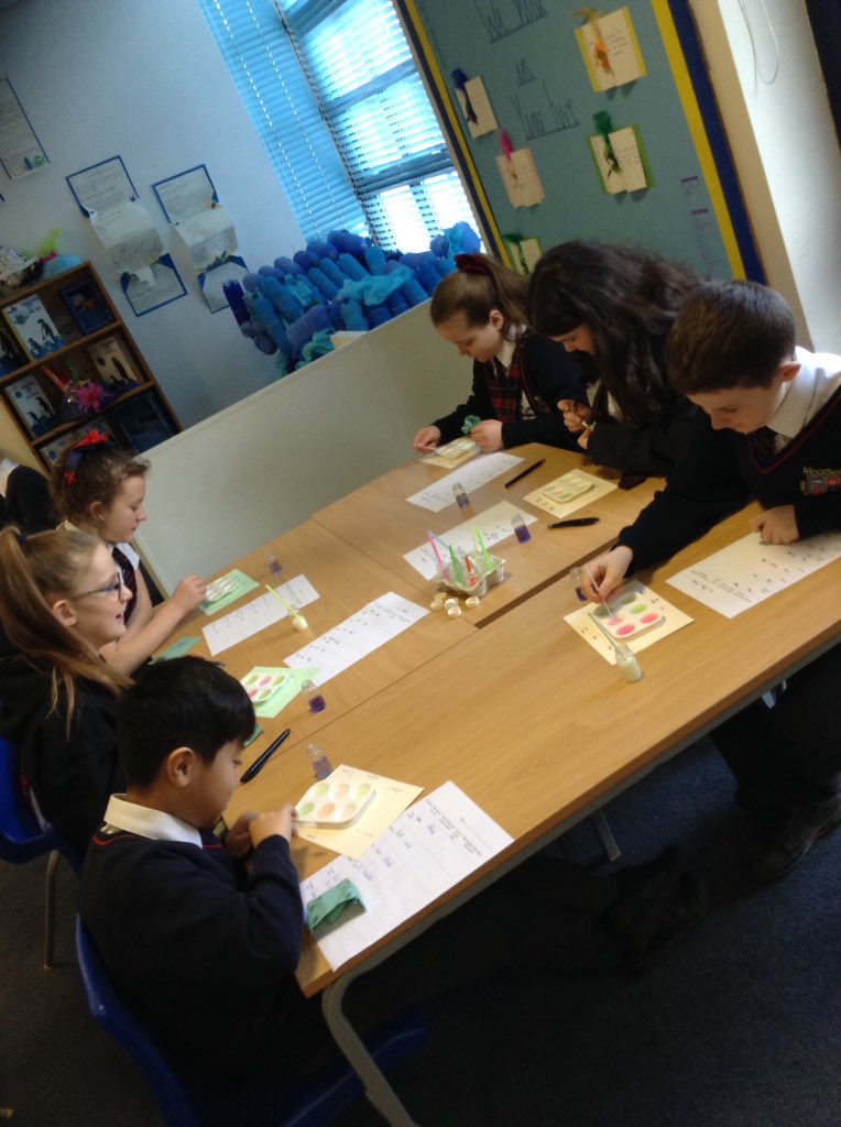 smithmfield's tweet photo. @geoffmackey1 Year 5 are having a wonderful day being scientists and learning all about acid and alkali #youngscientists #OgdenTrust #Chemistrywithcabbage https://t.co/sQUWqWUp4t