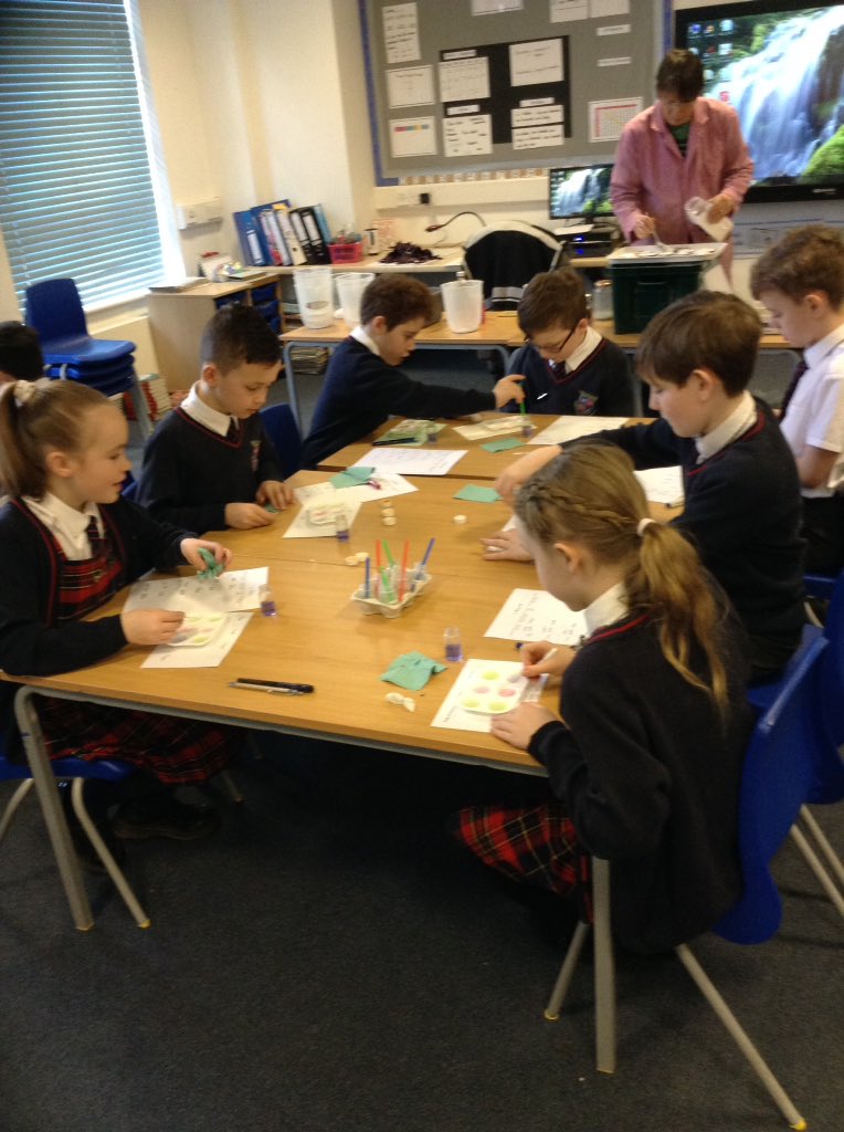 smithmfield's tweet photo. @geoffmackey1 Year 5 are having a wonderful day being scientists and learning all about acid and alkali #youngscientists #OgdenTrust #Chemistrywithcabbage https://t.co/sQUWqWUp4t