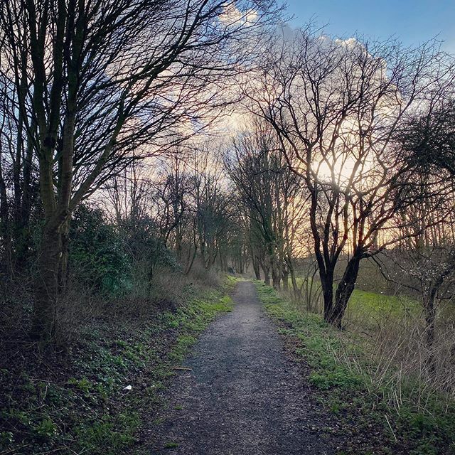 Droos_tweet's tweet photo. Choose your path 🌳
#path #road #nature #naturephotography #naturelovers #naturelover #tree #trees #treesofinstagram #treestagram #treephotography #grass #cloud #clouds #cloudstagram #cloudscape #cloudy #cloudyday #cloudysky #park #parks #bush #bushe… https://t.co/DUgdkvvhvJ https://t.co/kerq8heIB5
