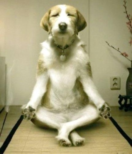 BrockworthCC's tweet photo. Did you know.... Practicing yoga can enhance the mood of a person. Breath is an indicator of mood. Breathing in patterns can lift up the mood of a person.

Join Tina tomorrow morning for a relaaaxing class https://t.co/ZZlnQE4ZO6