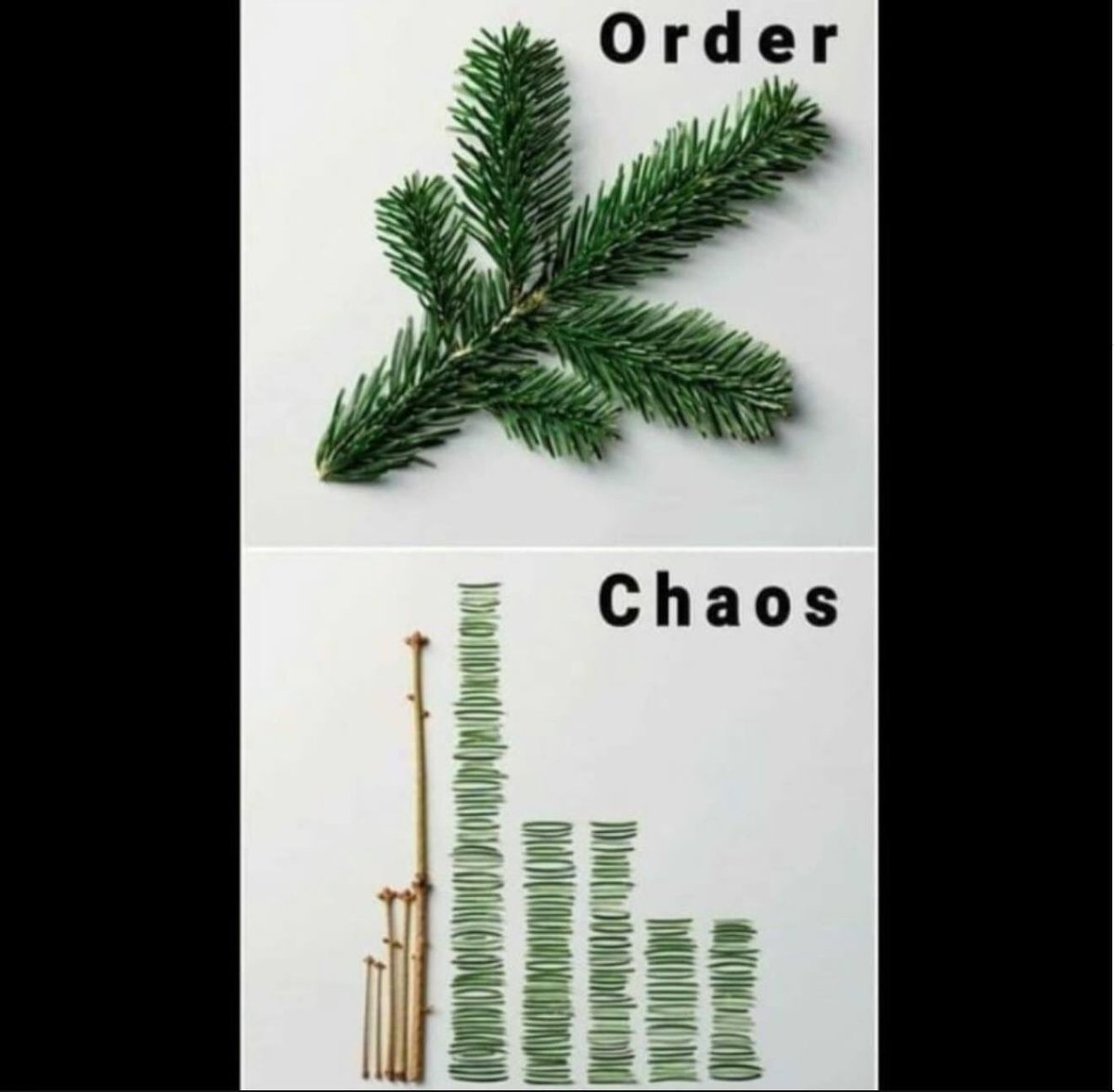 Ok. #chaos and #order.
