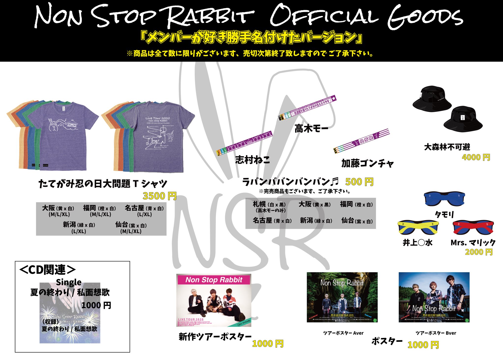 Non Stop Rabbit ノンラビ 矢野晴人 サイン入りピック ミュージシャン