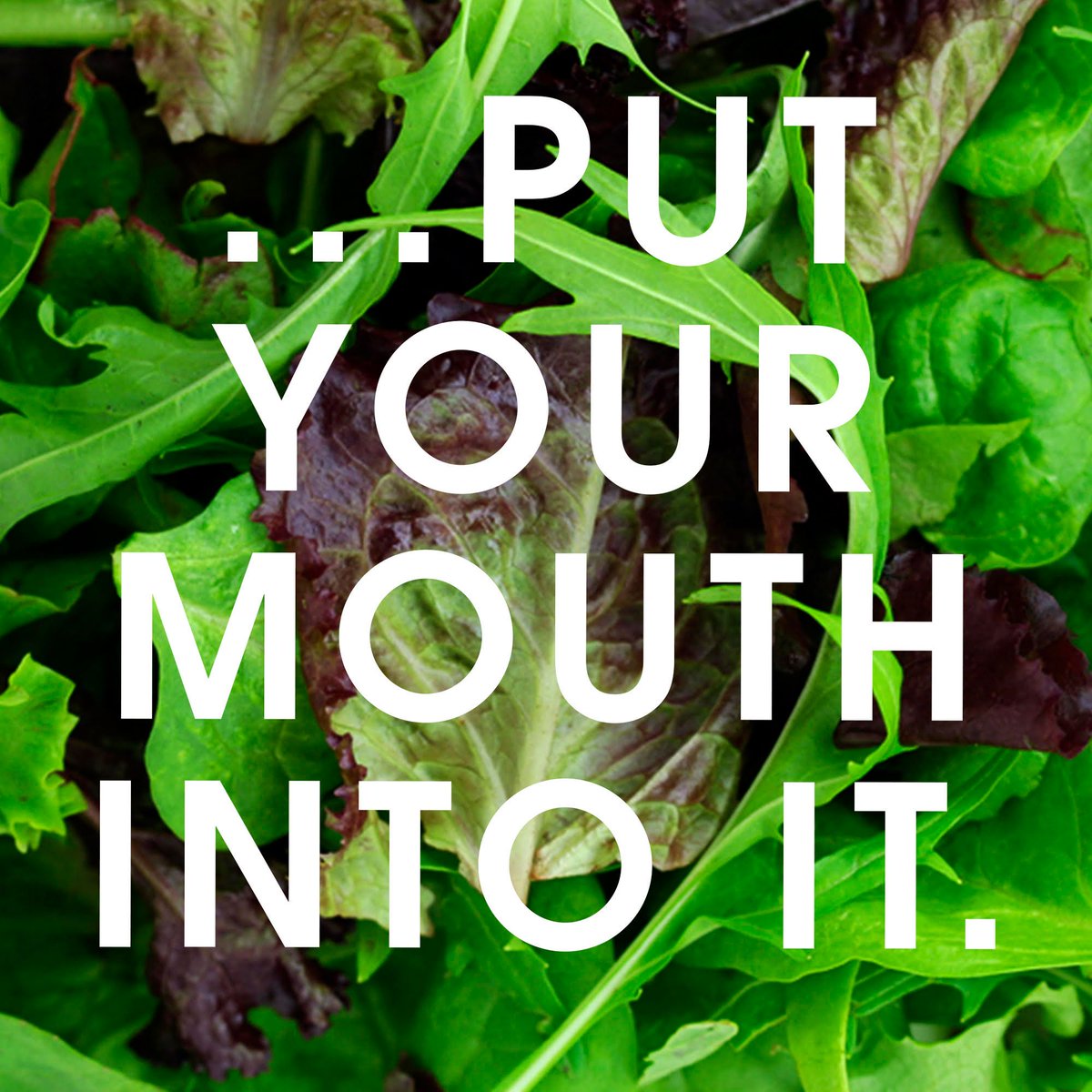honestcrustfood's tweet photo. We think you'll like what's coming soon. More ways to eat good, more ways to do good.
#HatchingSoon #EatGood #NewProducts #DoGood #MoreStuff #ChoiceChoices #SpringBabies #MondayMotivation #handmade #honestcrustfood #OnTheGo #MondayMotivation https://t.co/4RJ2FhpS0V