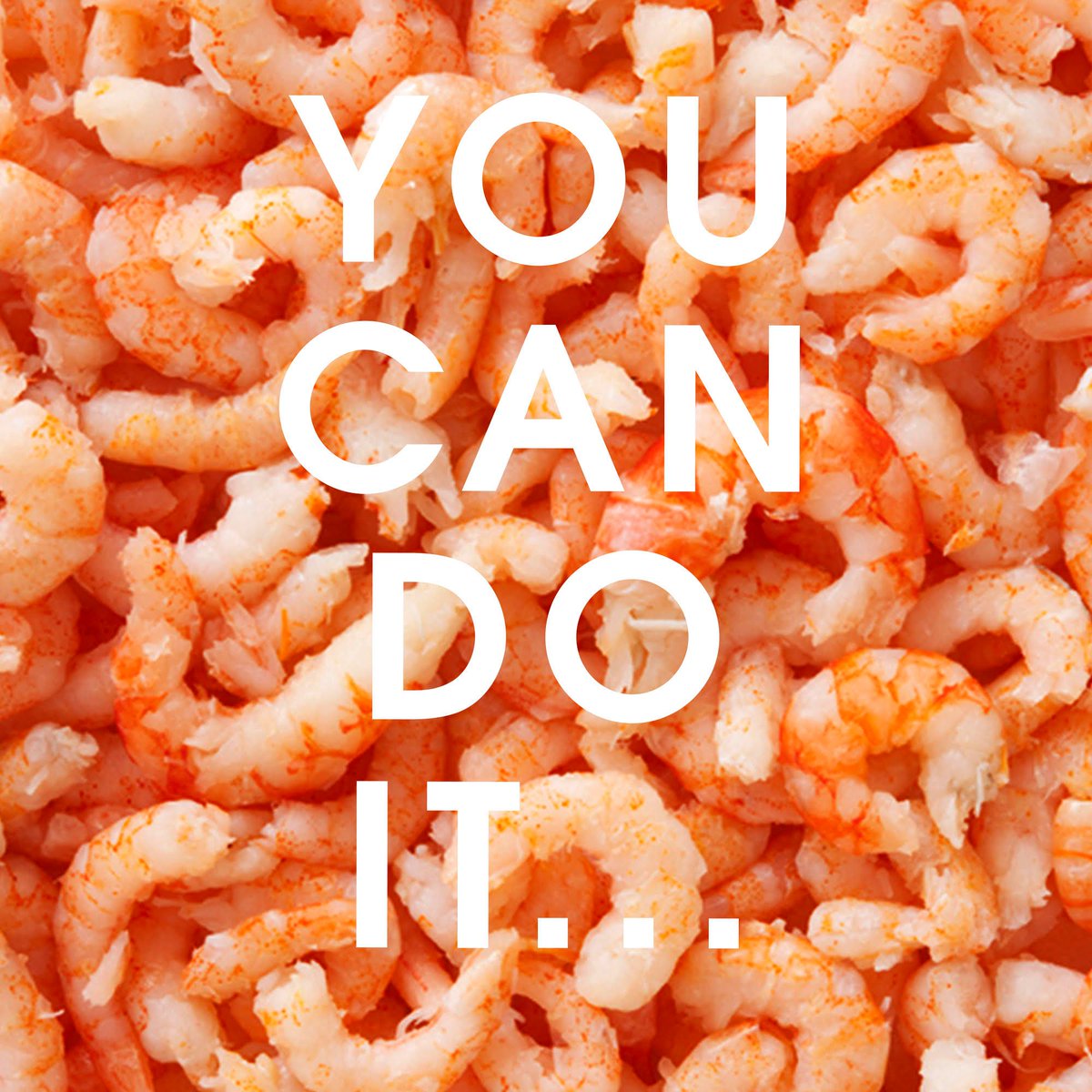 honestcrustfood's tweet photo. We think you'll like what's coming soon. More ways to eat good, more ways to do good.
#HatchingSoon #EatGood #NewProducts #DoGood #MoreStuff #ChoiceChoices #SpringBabies #MondayMotivation #handmade #honestcrustfood #OnTheGo #MondayMotivation https://t.co/4RJ2FhpS0V