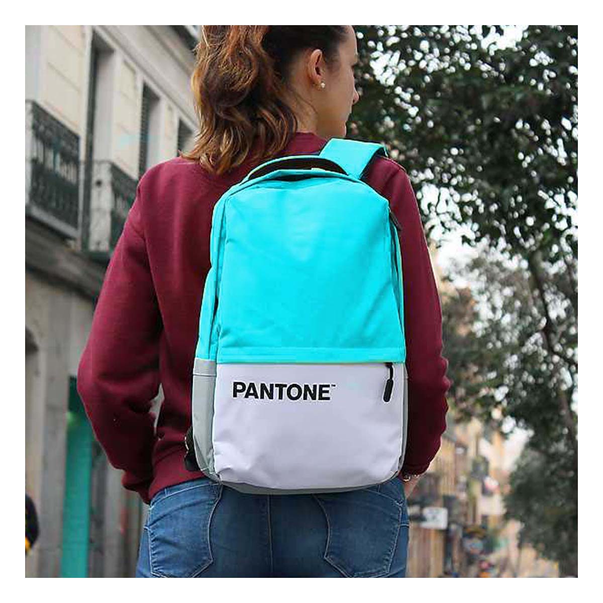 pantone backpack tk maxx
