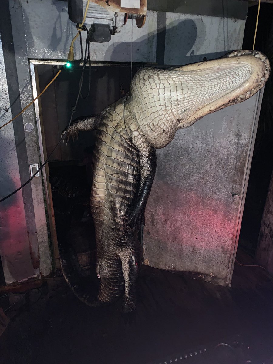 jerry walden tweet media