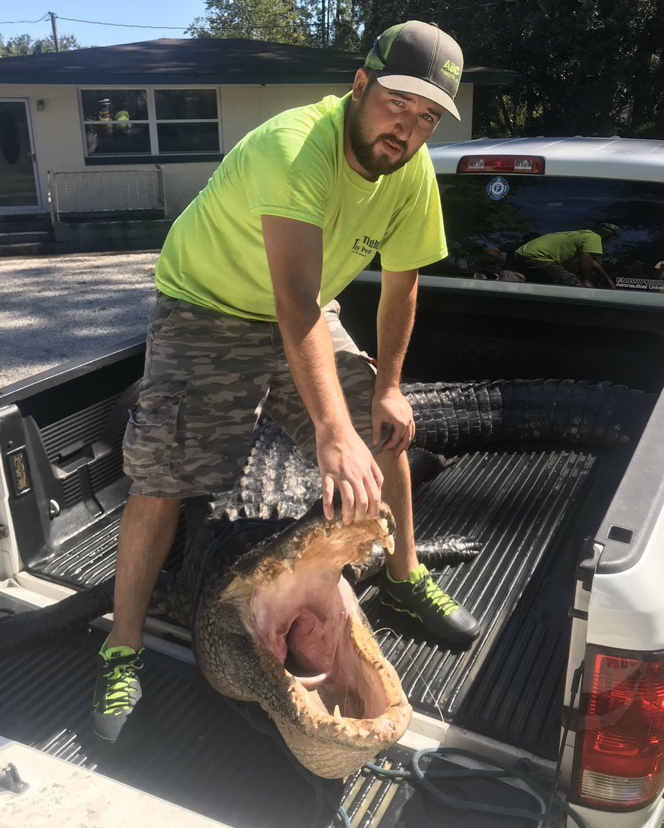 jerry walden tweet media