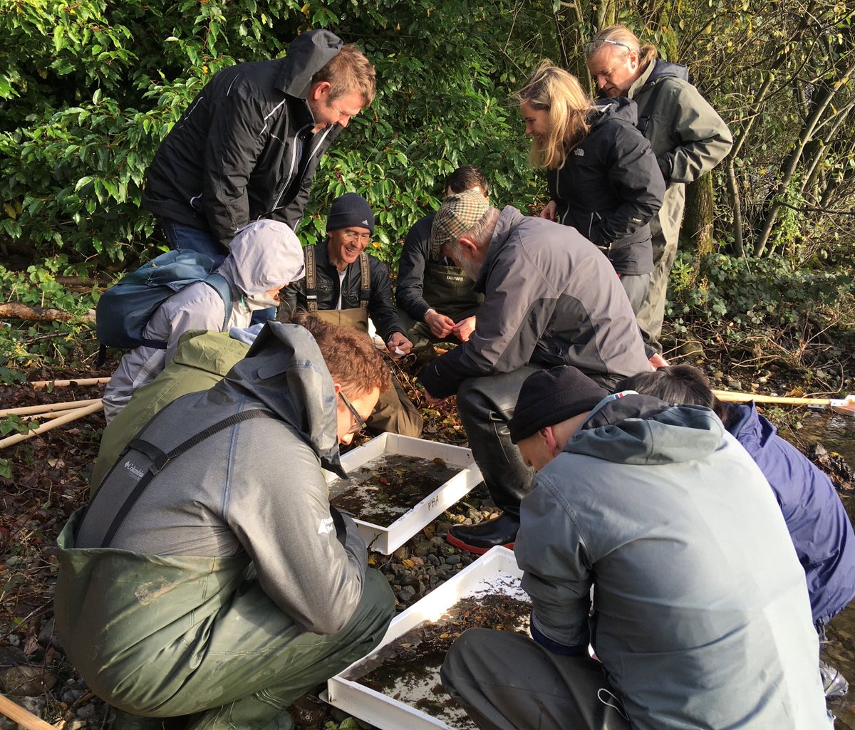 freshwaterbio's tweet photo. Want to sample a unique British chalk stream, while learning about freshwater bugs and beasties? Our course, 'Sampling and Identifying Freshwater Invertebrates', begins on 6th April at our Dorset #RiverLab, so be sure to book your place soon! https://t.co/CtA2NbBpeh https://t.co/VUEHHacYEd