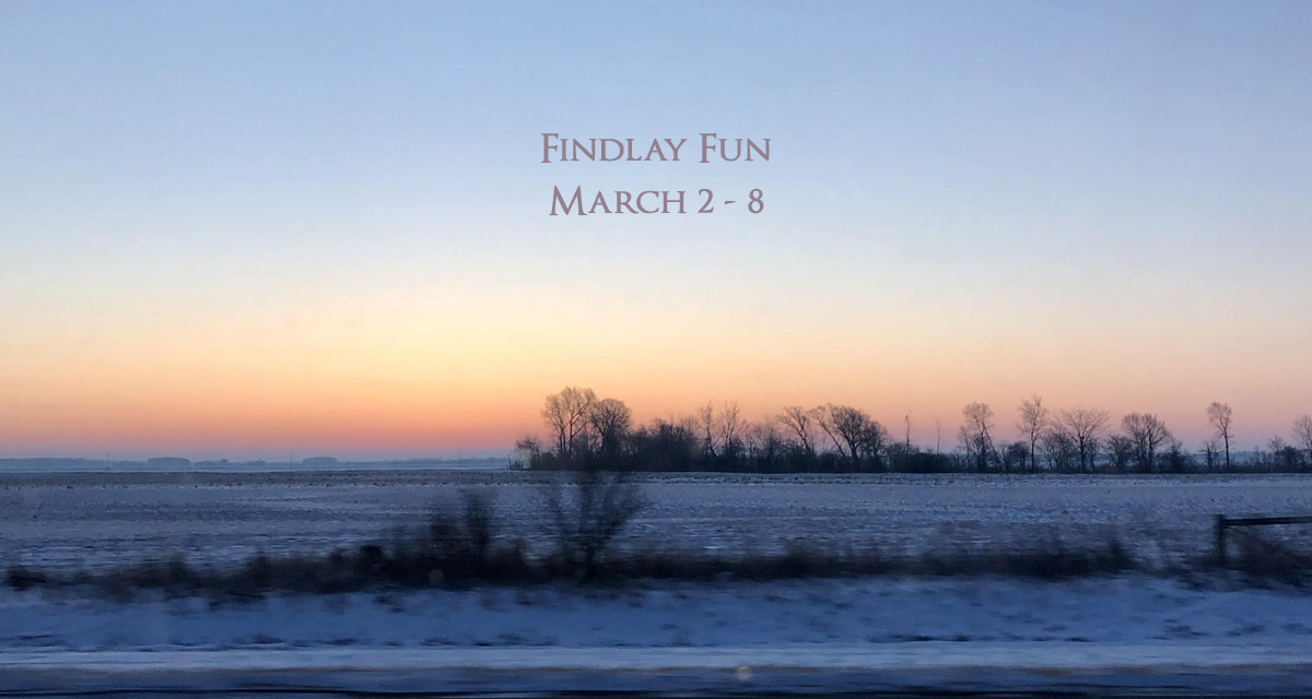 socialfindlay.com tweet media