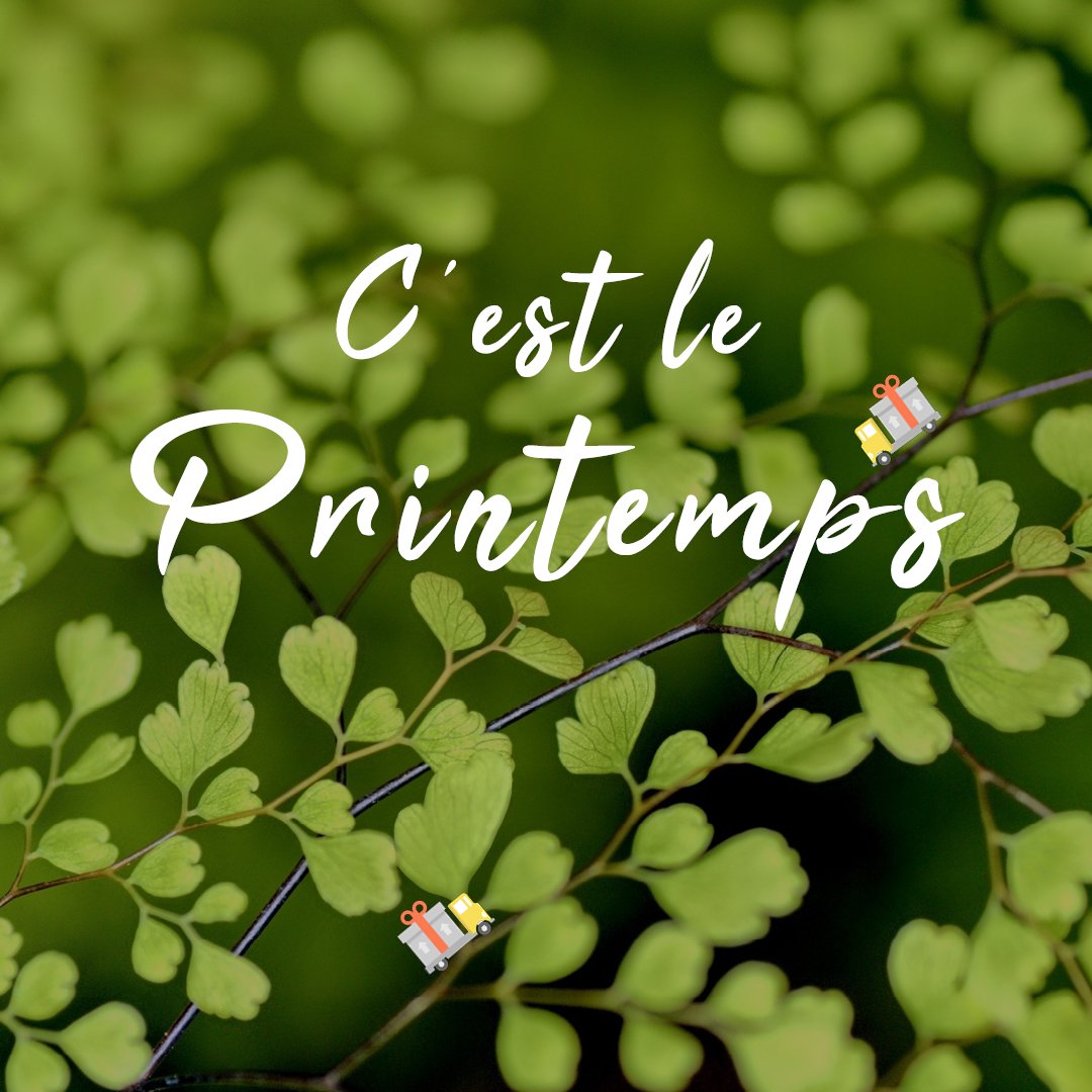 fastpickup_'s tweet photo. 20 mars c'est le #printemps C'est le renouveau, les 🕊 gazouillent, les 🦋 volent ! 
L'occasion de changer de nouvelles #plantes  : nous venons VOUS CHERCHER à toutes les enseignes de #jardinerie pour vous aider à transporter les gros pots de 🌴🌸 Et ce jusqu'à chez vous 🥀! https://t.co/L0ouVW0Wls
