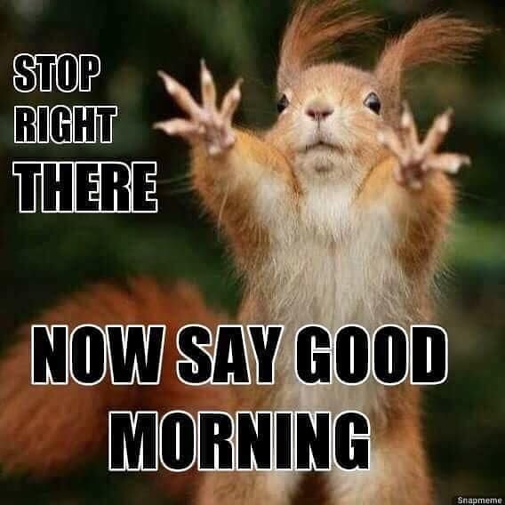 BrandonCostanza's tweet photo. So you just gonna scroll by without telling me #GoodMorning? 😂 https://t.co/2Li2aDWLlC