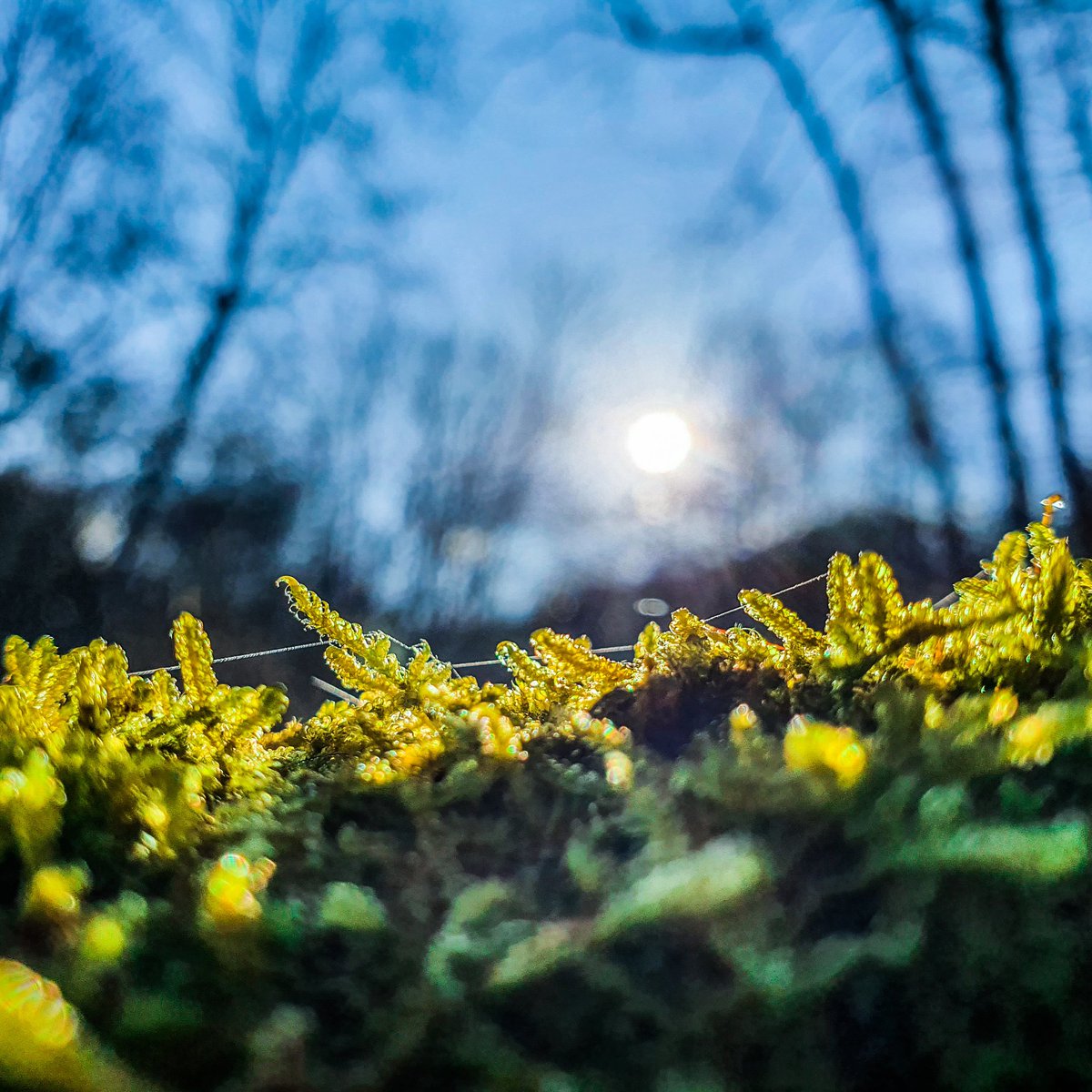Highlan13504017's tweet photo. Vsak dan znova posije gorjansko sonce :).
#gorjan #zivljenjegorjana #gorjanci #discoverbrezice #ifeelslovenia #highlanderlife #roamtheplanet #slovenia #slovenija #catez https://t.co/AFdSUyaxpT