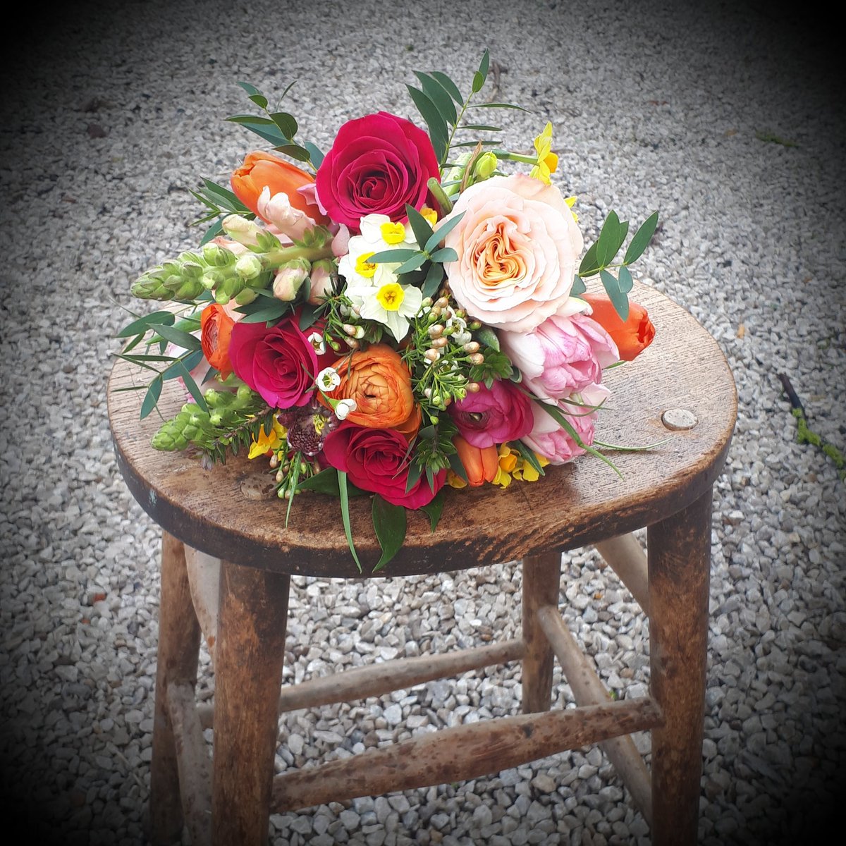 Jane Wilson tweet media