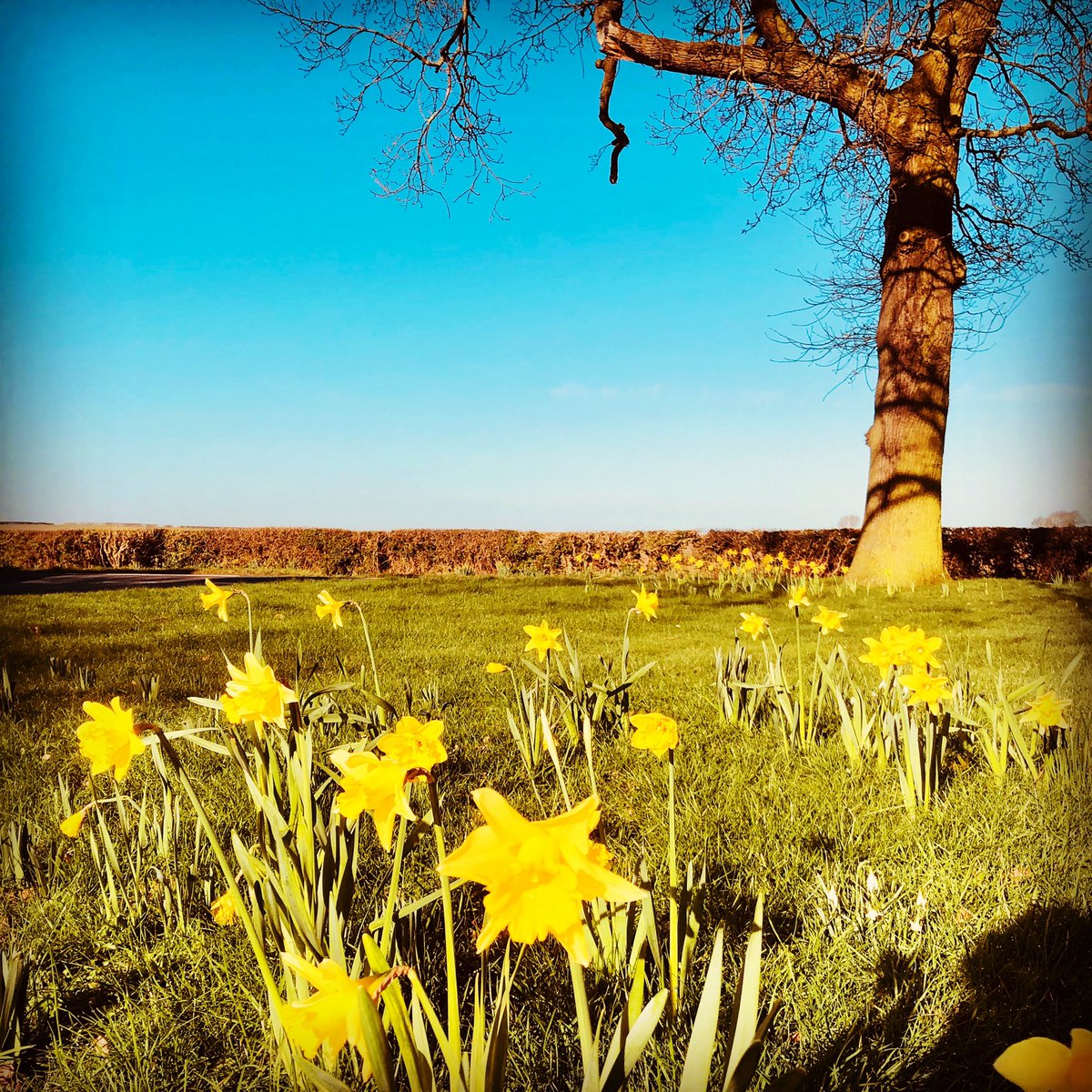 westonrun's tweet photo. Spring is here! The sun is shining and our race route is drying. Still time to sign up 😀 https://t.co/2Fjt4exZZE