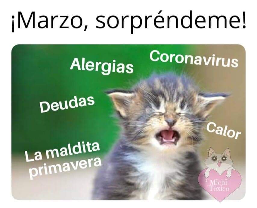 marzo https://t.co/Qf3P0D44mD