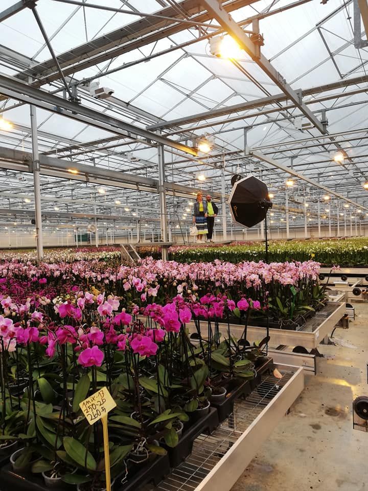 HoogBos's tweet photo. Sneek peek...
Today this new spring collection is being fotographed for magazine Olivier! Beautiful clothing on a colorful background of orchids. #HoogBos #olivier #moodforshoes #bijcora #fotolux #GorgeousGold #orchids https://t.co/DzBnEMLhlR
