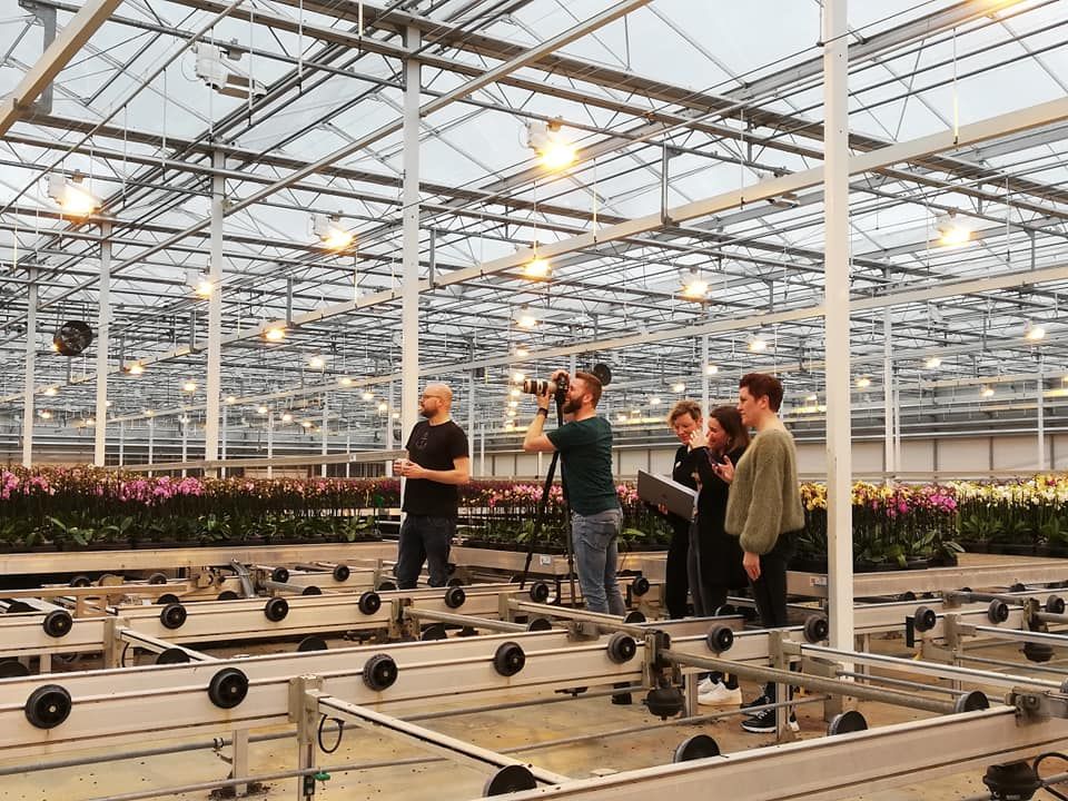 Sneek peek...
Today this new spring collection is being fotographed for magazine Olivier! Beautiful clothing on a colorful background of orchids. #HoogBos #olivier #moodforshoes #bijcora #fotolux #GorgeousGold #orchids