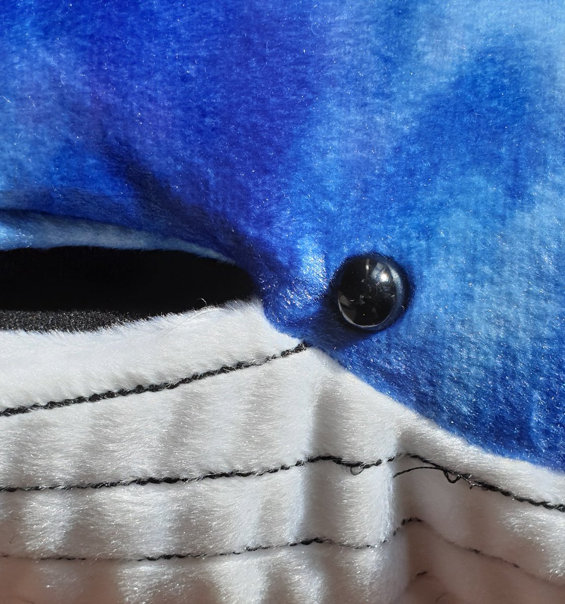 OnRipples's tweet photo. Whale costume dilemma solved! @OnRipples @mcsuk @sascampaigns @DarlingtonHipp @EveryonesTheatr @DurhamDalesFOPA #musical #family #entertainment #plasticfree #ocean #costumes https://t.co/YiTQgJWoNd