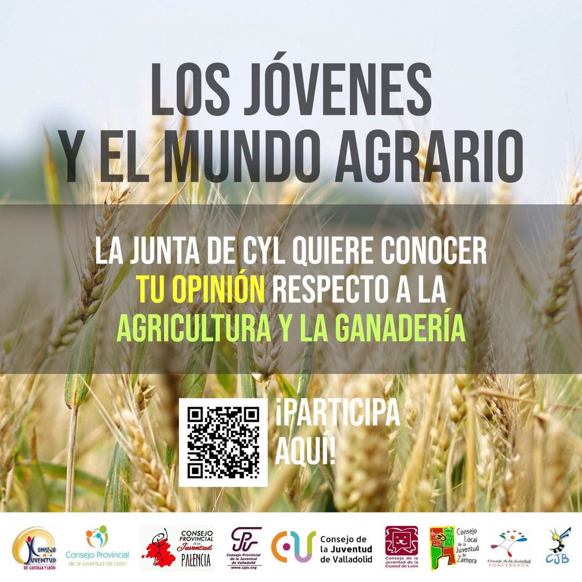🌾 El Plan de agricultura y ganadería Joven pretende incorporar a más de 3.000 jóvenes 👩‍🌾 en el sector 🌾 
‼️Necesitamos que participes en esta encuesta para conocer tus opiniones e ideas para incorporarlas al Plan ‼️
🗓 Disponible hasta el 27 de marzo
↪bit.ly/encuesta-agric…