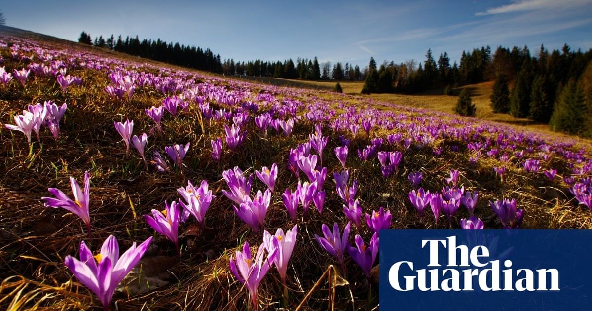 buff.ly/2VB0pgT Where to see spring wildflowers in Europe