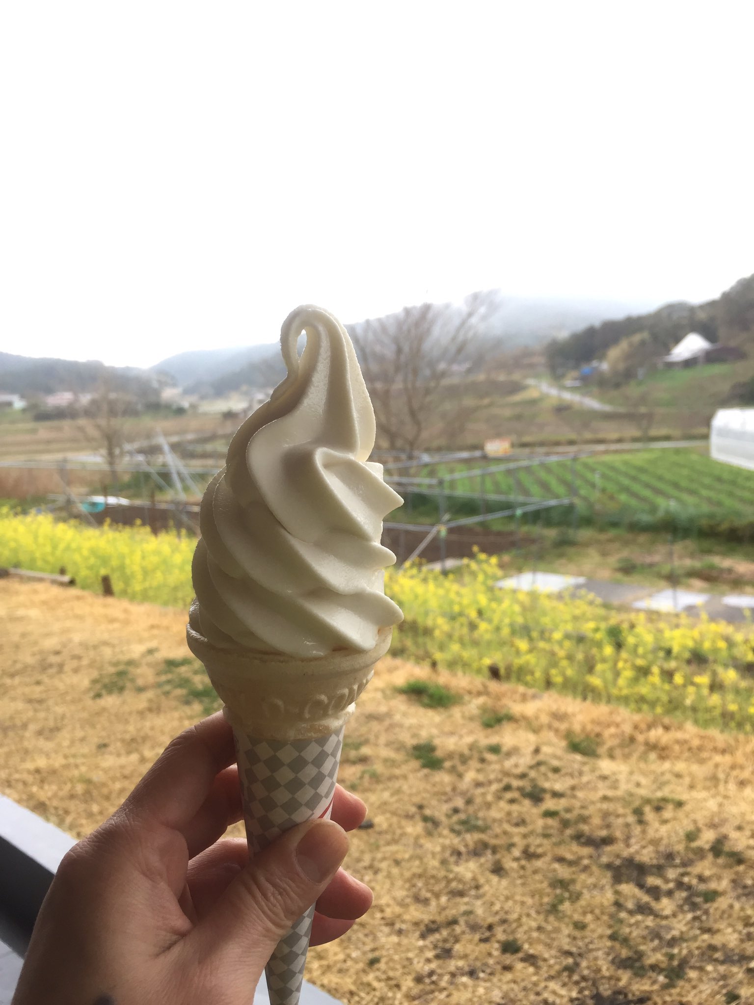 Twitter 上的 うしろ 千葉に行ったので聖地巡礼してきた 地方民ツアーの農村スーパー409 しかし看板がない 野菜買ってレジのおばあちゃんにここですか と写真を見せると ゴールデンボンバーさんね ファンの人来るよと言ってくれました ここからロケ始めだそうです