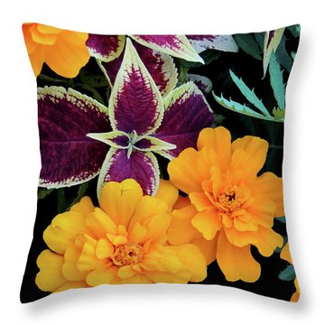 Throw some color around! maurice-hebert.pixels.com/shop/throw+pil… #homedecor #pillows #color #artwork #couch #gardencomfort #comfort #throwpillow