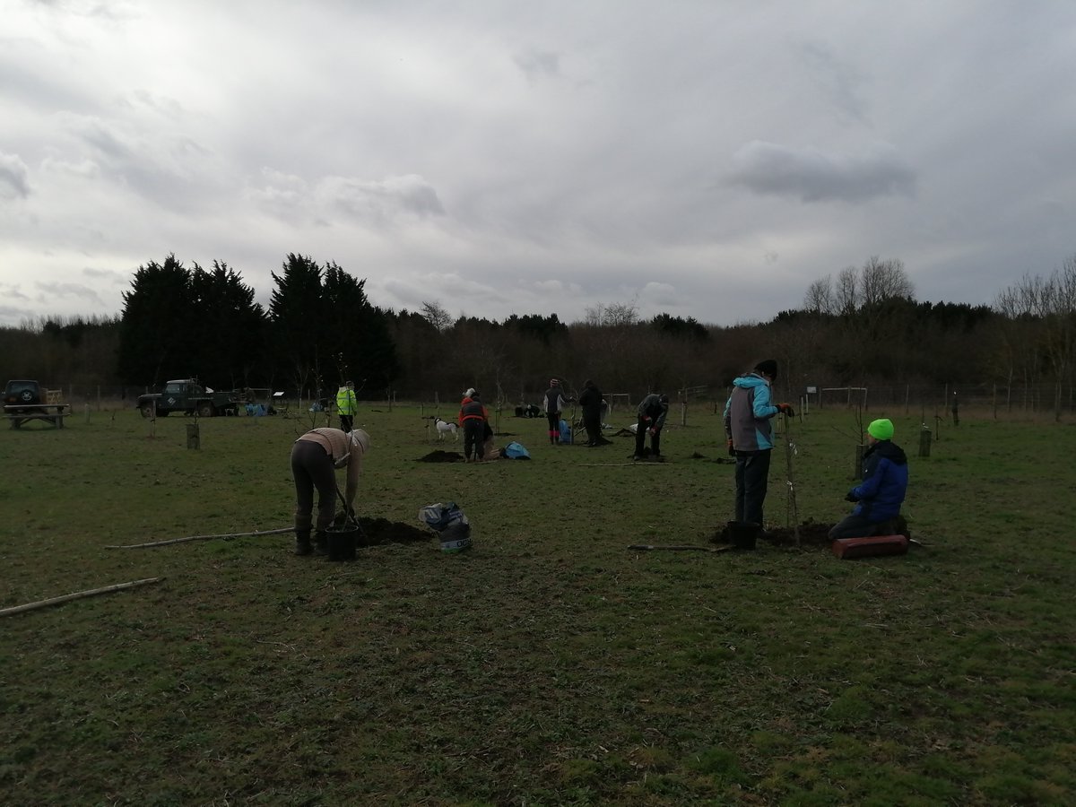 orchardseast's tweet photo. Some more planting photos, this time from @letstalkcentral Etonbury Wheel site nr #Arlesey where #volunteers added more #bedfordshire varieties including #laxtons plums to the orchard
thanks @HeritageFundM_E for support https://t.co/WxIucbf9Ix