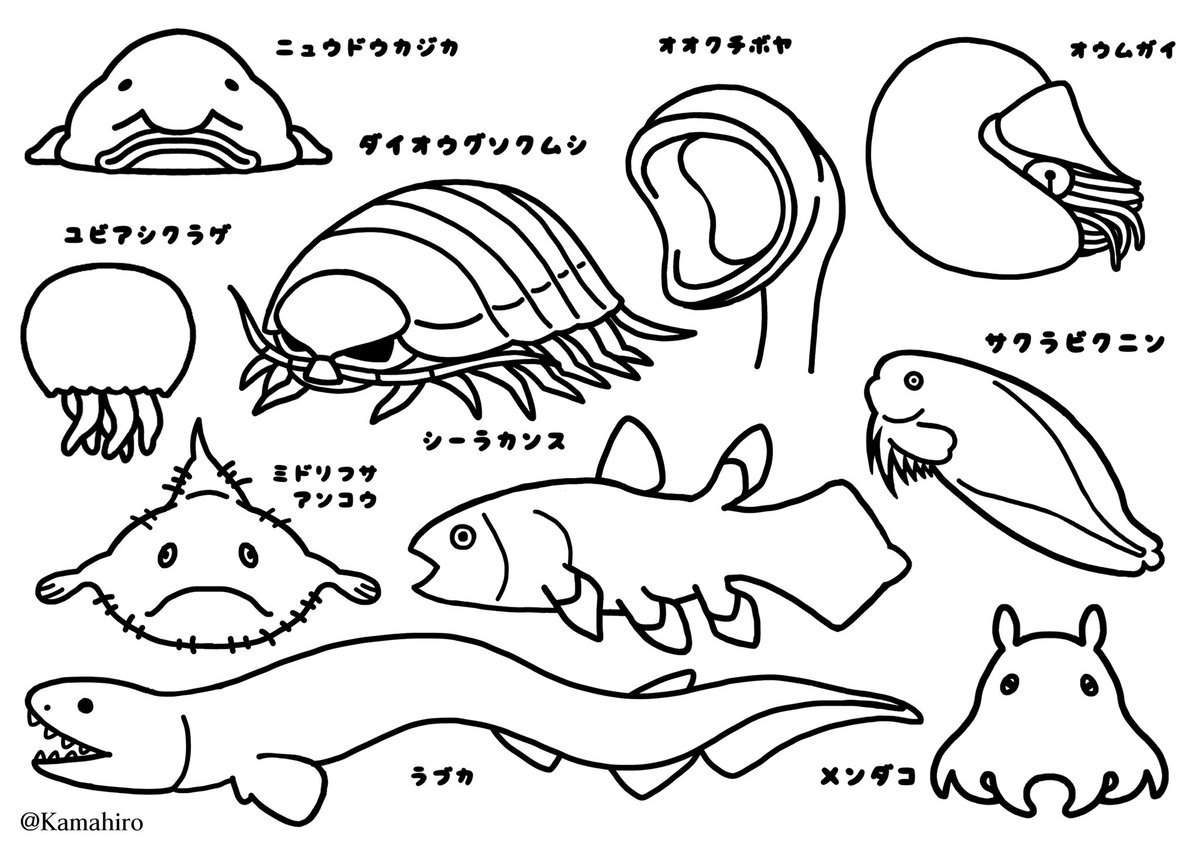 深海collectite 深海生物グッズ 在 Twitter 上 イラストレーターにできること 素敵な活動だと思ったので 参加させていただきました 深海魚とデジタル時代の線画イラストをぬりえをにしてみましたので良ければお使いください サイズ 使用は個人の範囲内で
