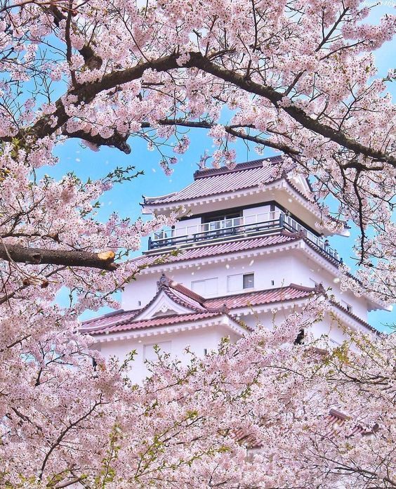 AestheticsJapan's tweet photo. Tsuruga Castle https://t.co/TA1yHEfggv