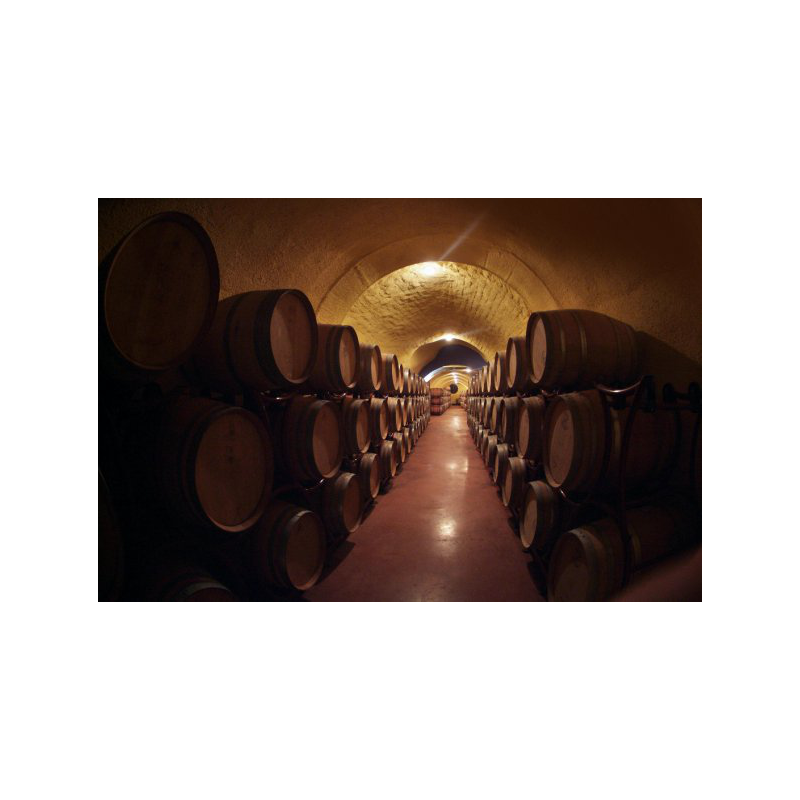 pagodealmaraes's tweet photo. Te proponemos un plan para Marzo: venir a conocer Benalúa de Guadix a través de nuestra Bodega Pago de Almaraes🍷 🍇
Reserva tu visita en el ☎ 958 348 752 o por email en 📧 info@bodegaspagodealmaraes.es

https://t.co/tJIgHp0RuB https://t.co/EPnuHNndQ4