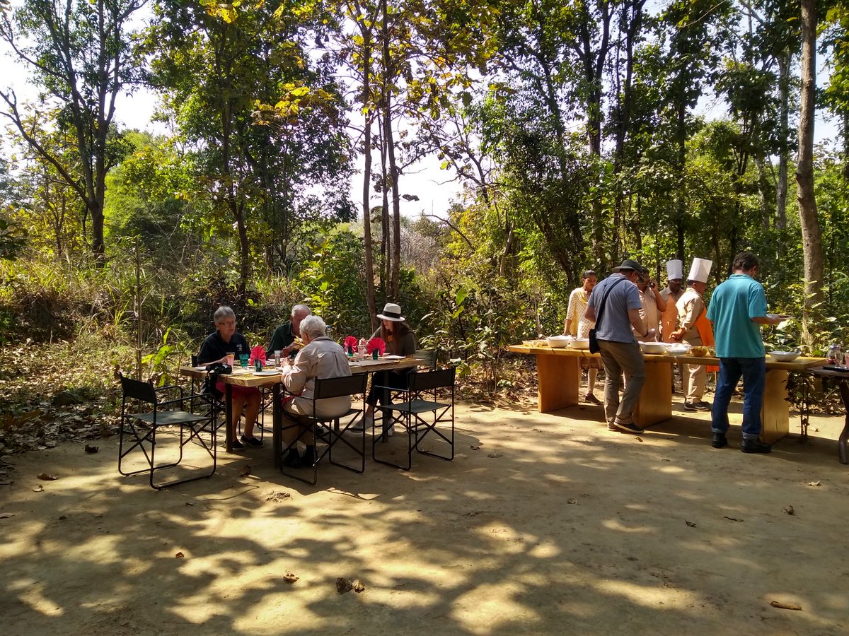 deepti_traveler's tweet photo. Bush lunch among the sal forest is always amazing.
@naturetrektours #kanhanationalpark #tigerdirect #tigertour #travellingindia #kanhajunglelodge https://t.co/fv9DKXUGkI