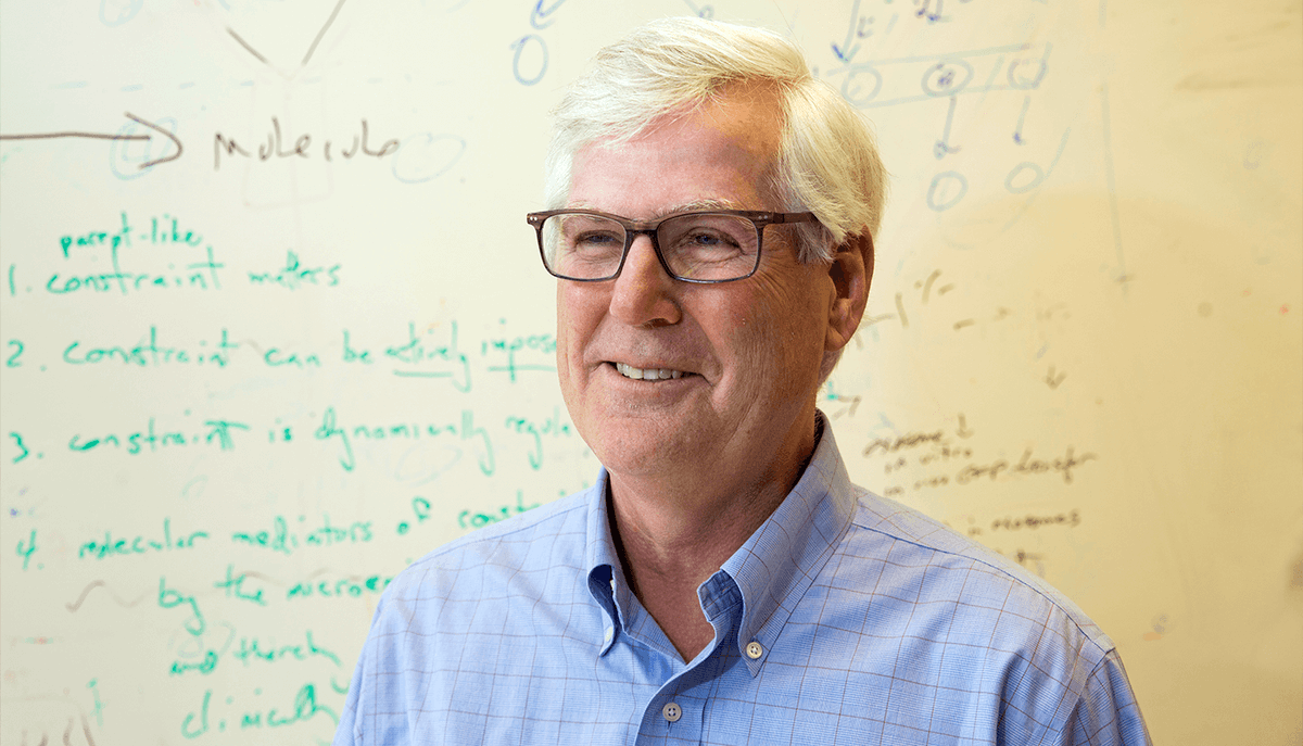 Scientists in the <a href="/ScaddenLab/">ScaddenLab</a> at <a href="/harvardstemcell/">HSCI</a> have discovered that the presence of fatty acids in blood at a fracture site drives conversion of #SkeletalProgenitorCells to bone-forming cells, while the absence generates cartilage cells. bit.ly/2T8oqdz