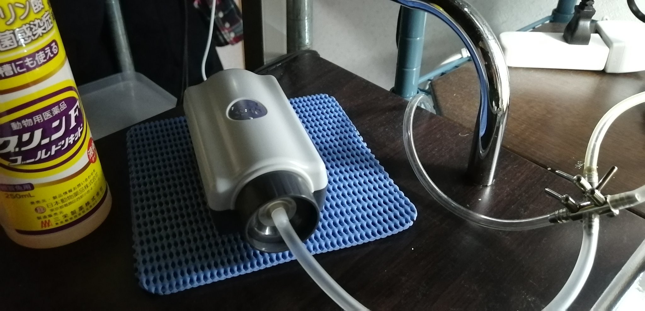 鹿角 今日の水換え時にエアーポンプをgex E Air 1500sbや1000sbから水作 Sspp 3sに変えました Gexの時は振動音がめっちゃ気になるんで100均のマットひいてたけど 水作はマット要らんくらい静かです 鹿角 今日の水換え時にエアーポンプをgex E Air 1500sbや1000sbから水作 Sspp 3sに変えました Gexの時は振動音がめっちゃ気になるんで100均のマットひいてたけど 水作はマット要らんくらい静かです