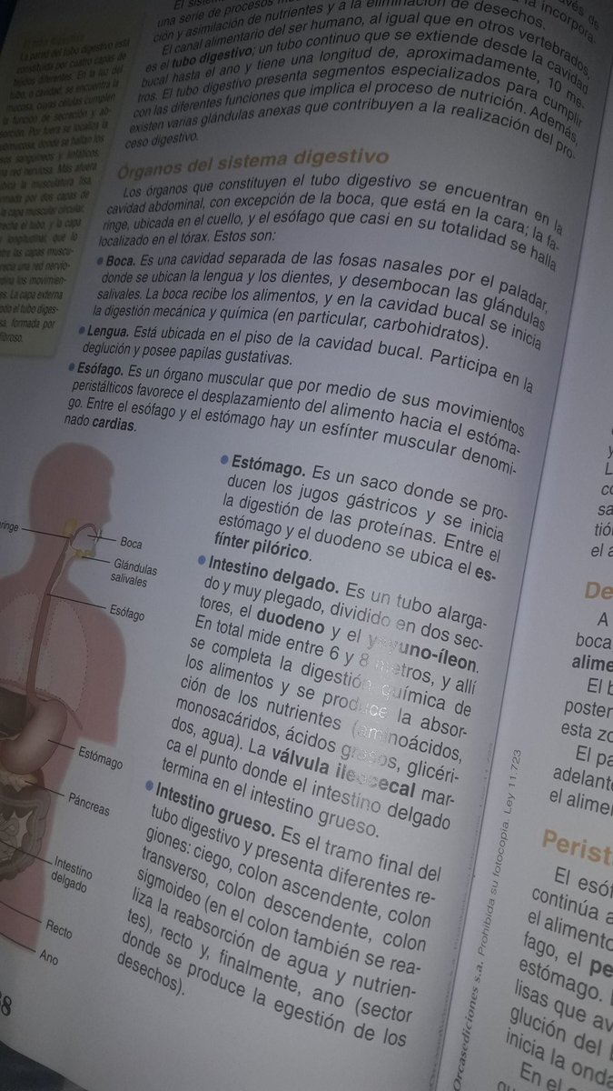 Avoir Images Media Tweets By Facu Ferrnandez Ferrnandezfacu Twitter dernière salutations