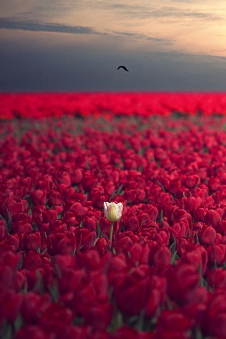 NikoLas_112's tweet image. Всем доброго вечера :) и хорошего настроения ☀️ ☀️ ☀️ 🥕🍰🌞😂🌞😄😂❤️🌷🦋😂🌞🌼🌼🦋🌼🌞🌼🥕🌼🌞🌷🌷🥕🌷🦋🌷
#Доброговечера #GoodEvening