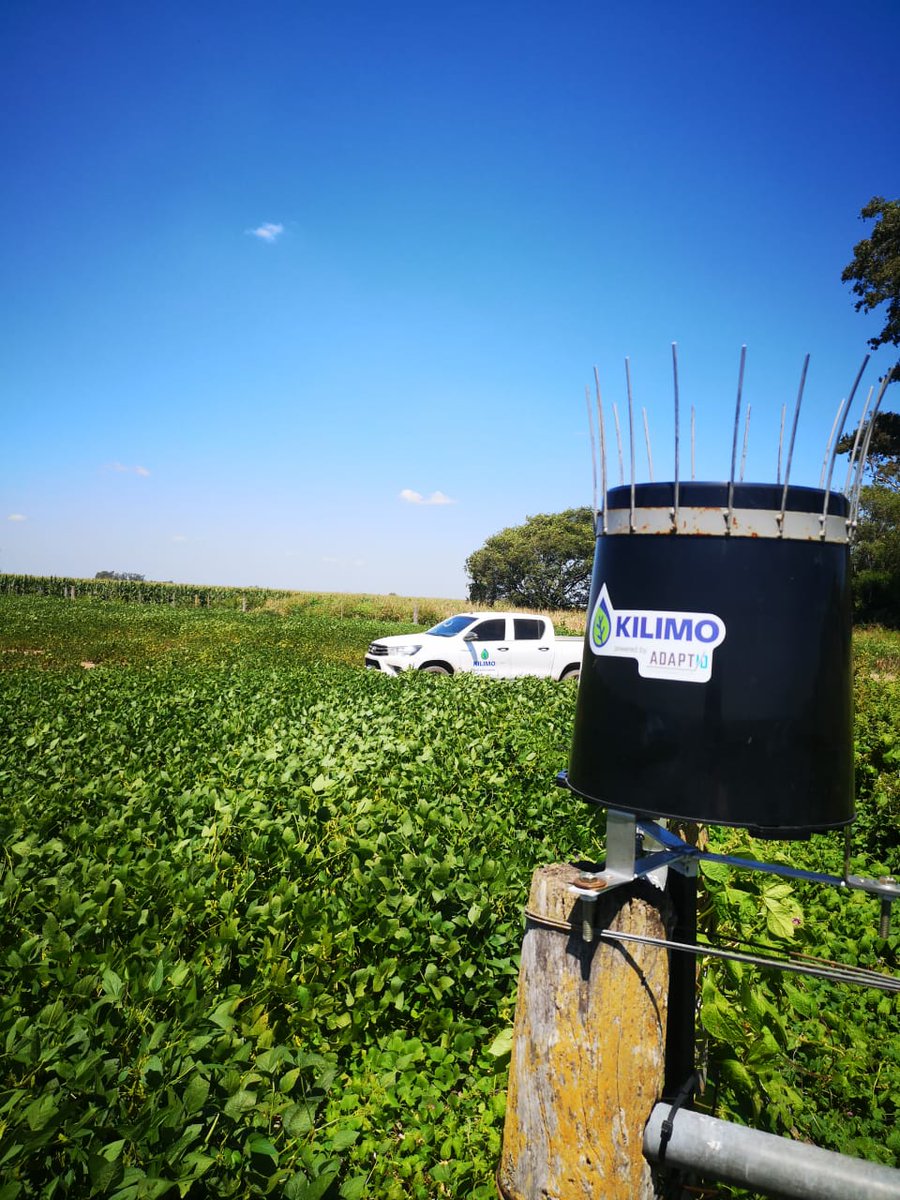 adaptio_ar's tweet photo. Hermoso día para visitar los pluviómetros!
#agtech #agro https://t.co/4tNHaPas64
