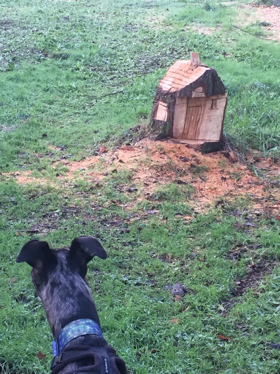 21stEcologist's tweet photo. Came across this little log house on a dog walk recently. The housing market is getting desperate.... #woodart #ecology #tree https://t.co/9XKZbJyZsH