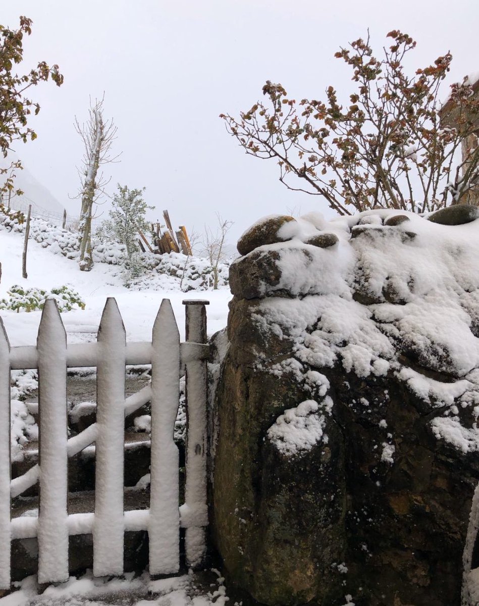 Volvió la deseada #nieve ! #Somiedo #Asturias #ValleDeLago @AEMET_Asturias @eltiempotpa @TurismoAsturias @aquilatierratve