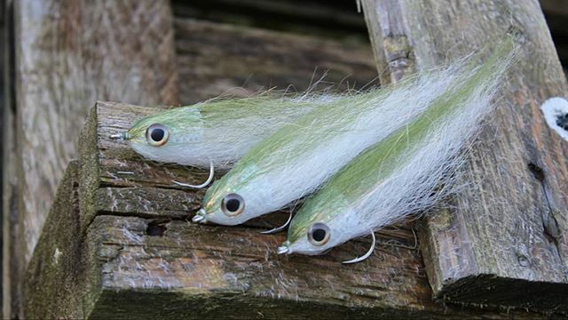RHarvey_ukflies's tweet photo. Still killer.. Fat boys .. @flyodyssey got me tying these may moons ago.. and they are still killer.. #fatboyfly #rupertharveysflies #fishwithteeth #gtflies #roosterfishflies #flatsfishing #funkyflytying #saltwaterflies #saltwaterflytying https://t.co/tCi922Bf5r https://t.co/6GwkDrreBl